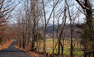 Cullers Run Road, Mathias, WV