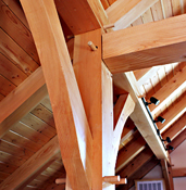 Kavanaugh House Post and Beam Construction